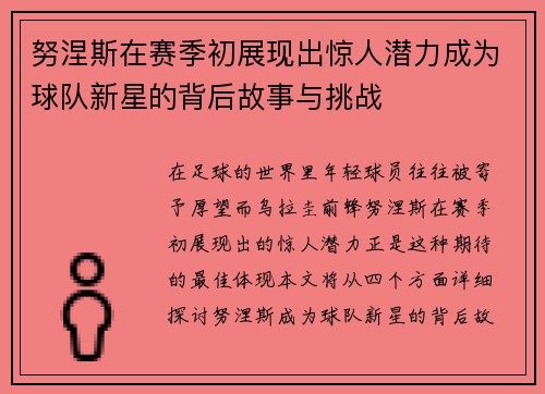 努涅斯在赛季初展现出惊人潜力成为球队新星的背后故事与挑战